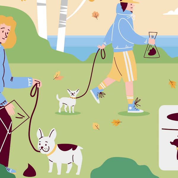 Dog waste, bags and biodegradable – what does it all mean